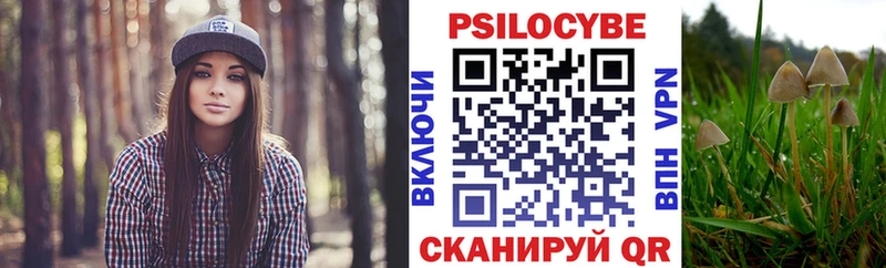 Галлюциногенные грибы Cubensis  Купить  Сурск 