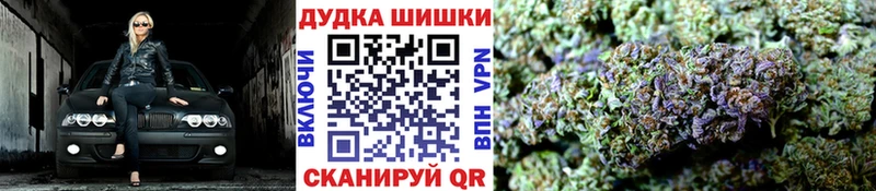 Бошки марихуана Amnesia  Купить  Сурск 
